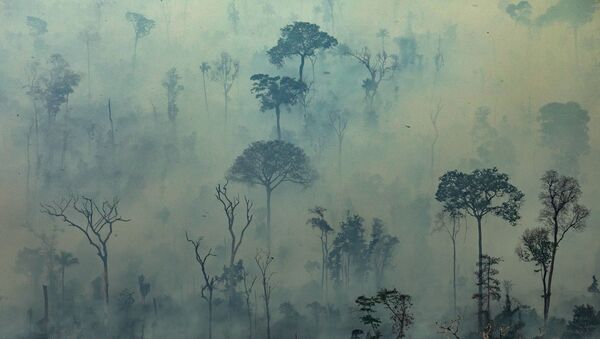 زمین پوشیده از خاکستر؛ آتش‌سوزی در جنگل‌های آمازون - اسپوتنیک افغانستان  