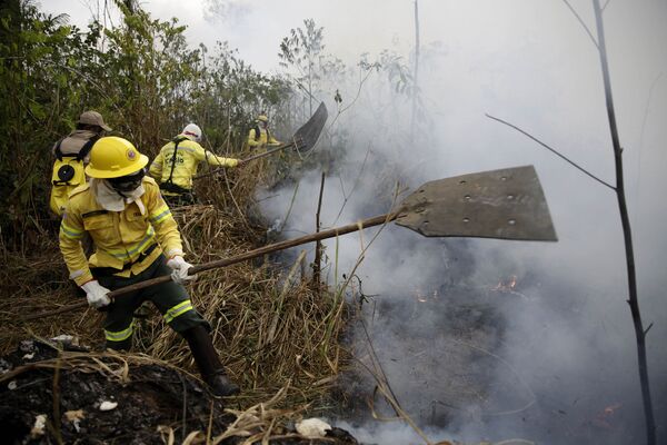 شهر پورتو ولیو در برازیل در خطر آتش‌سوزی
 - اسپوتنیک افغانستان  