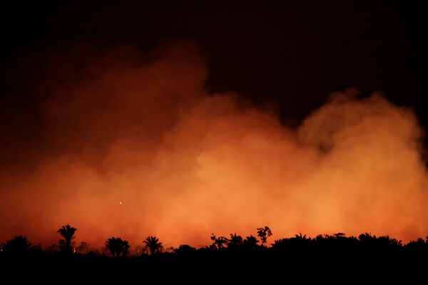 دود آتش سوزی در جنگل‌های آمازون - اسپوتنیک افغانستان  