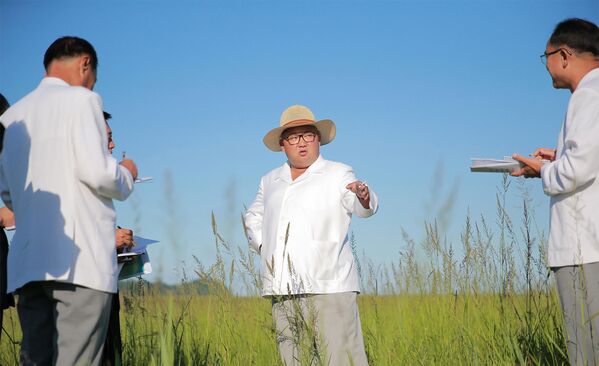 کیم جونگ اون، رهبر کوریای شمالی هنگام بازدید از یک فارم زراعتی در کشورش - اسپوتنیک افغانستان  