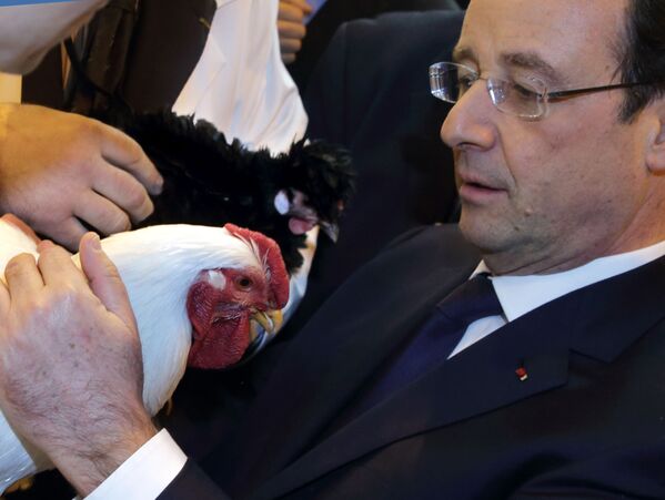 رئیس جمهور پیشین فرانسه- فرنسوا اولاند هنگام بازدید از یک فارم مرغداری در پاریس - اسپوتنیک افغانستان  