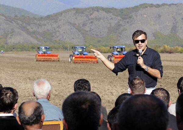 رئیس جمهور گروزین هنگام دیدار با کارگران صنعت کشاورزی کشورش - اسپوتنیک افغانستان  