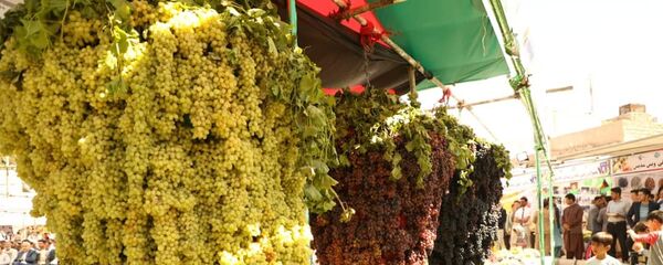 انگور افغانستان انگور افغانستان - اسپوتنیک افغانستان