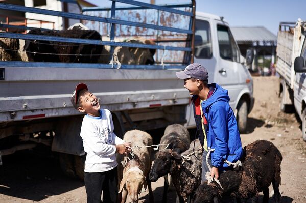 بازار حیوانات – قرغزستان - اسپوتنیک افغانستان  