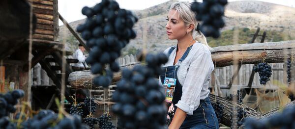 جشن سنتی انگور در شبه جزیره کریمه . جشن سنتی انگور در شبه جزیره کریمه . - اسپوتنیک افغانستان