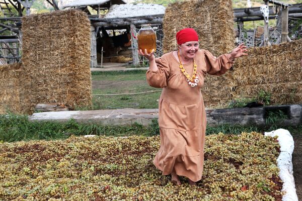 جشن سنتی انگور در شبه جزیره کریمه . - اسپوتنیک افغانستان  