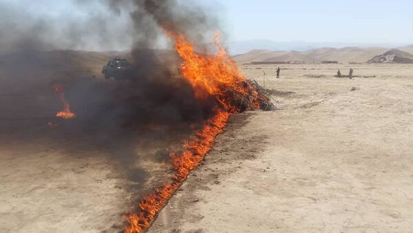 یک و نیم تُن مواد مخدر در ولایت سرپل آتش زده شد - اسپوتنیک افغانستان  