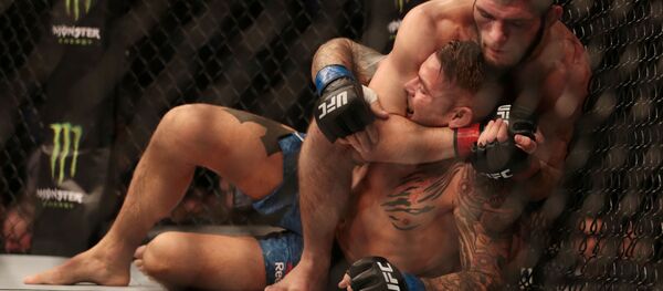 دیدار رئیس جمهور پوتین با حبیب نورمحمدوف + ویدئو دیدار رئیس جمهور پوتین با حبیب نورمحمدوف + ویدئو - اسپوتنیک افغانستان