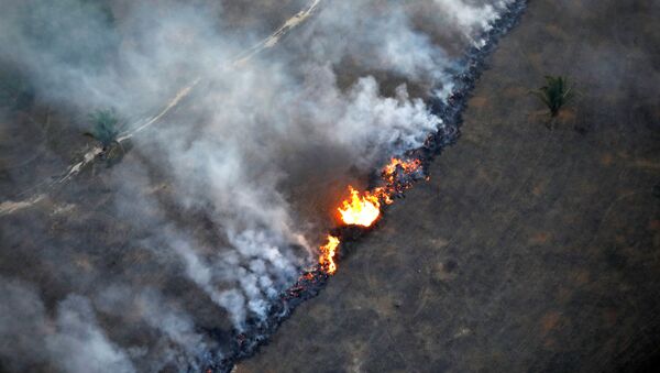 آتش‌سوزی در جنگل‌های آمازون – ایالت روندونیا، برازیل  - اسپوتنیک افغانستان  