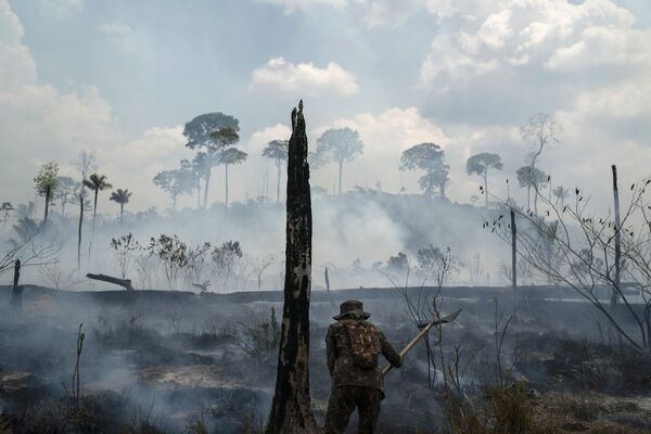 آتش‌سوزی در جنگل‌های آمازون -  برازیل  - اسپوتنیک افغانستان  