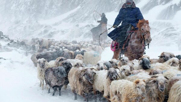 برف باری سنگین - اسپوتنیک افغانستان  