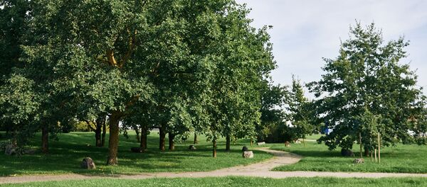 روسیه به یاد قربانیان جنگ بزرگ میهنی 27 میلیون نهال غرس می‌کند - اسپوتنیک افغانستان  