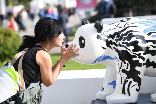 نمایشگاه پاندای چینی در فستیوال فرهنگی چین در مسکو. - اسپوتنیک افغانستان  