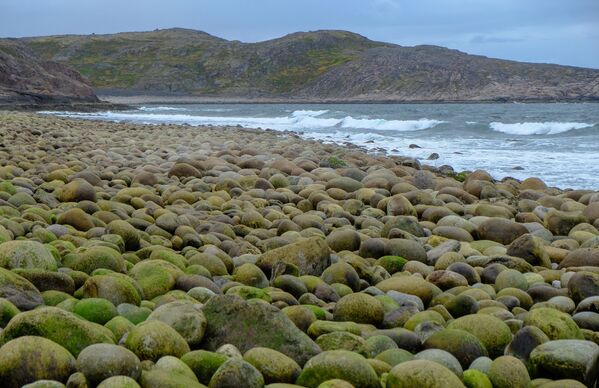 مناظر پاییزی مورمانسک -سنگهای سواحل دریای بارنتس. - اسپوتنیک افغانستان  