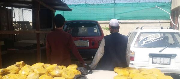 بازداشت 11 تن در پیوند به فروش و قاچاق مواد مخدر از پنج ولایت کشور بازداشت 11 تن در پیوند به فروش و قاچاق مواد مخدر از پنج ولایت کشور - اسپوتنیک افغانستان