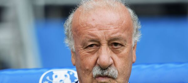 ویسنته دل بوسکه  - اسپوتنیک افغانستان  