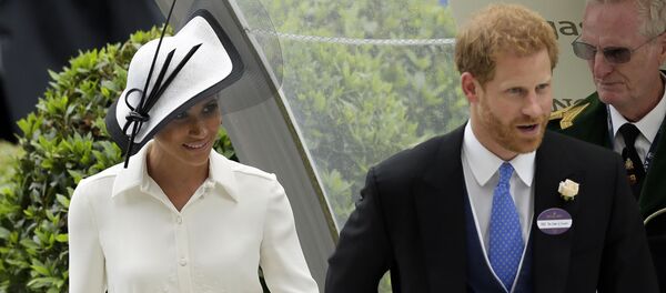 هری و مگان از وظایف سلطنتی کنار میروند هری و مگان از وظایف سلطنتی کنار میروند - اسپوتنیک افغانستان