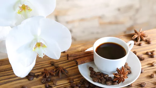 قهوه - اسپوتنیک افغانستان  