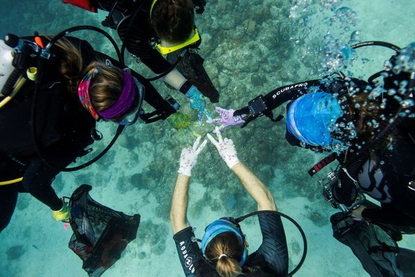 عملیات نجات مرجان های دریایی در جزایر کارائیب - اسپوتنیک افغانستان  