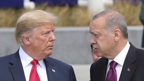 پیش‌بینی کارشناسان در مورد واکنش اردوغان به پیشنهاد 100 میلیارد دالری ترامپ  - اسپوتنیک افغانستان  
