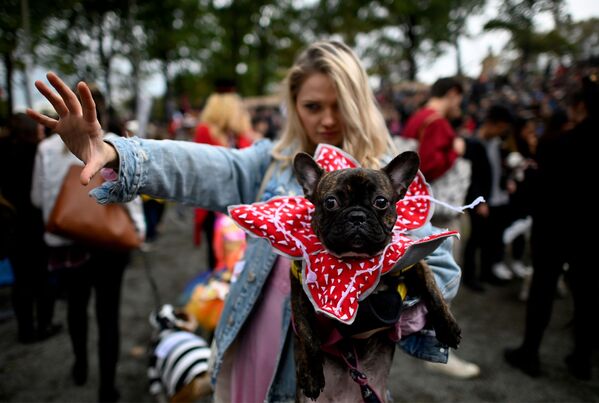 اشتراک کنندگان رژه سگ‌ها - شهر نیویورک، امریکا - اسپوتنیک افغانستان  