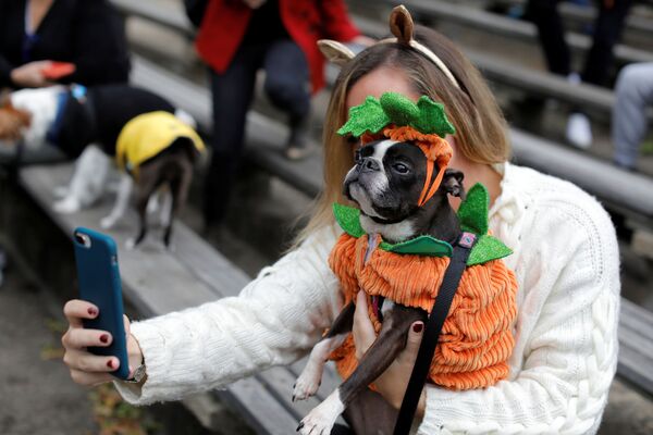 رژه سگ‌ها به مناسبت جشن هالووین - شهر نیویورک، امریکا - اسپوتنیک افغانستان  