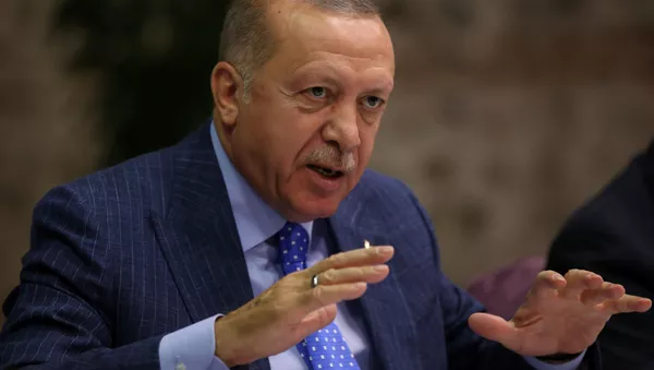 اردوغان: با ترامپ در مورد سیستم‌های اس-۴۰۰ و جت‌های اف-۳۵ بحث میکنم  - اسپوتنیک افغانستان  