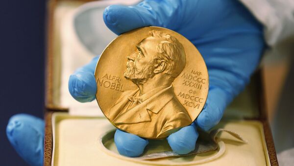  جایزه نوبل شیمی به خاطر ساخت باتری های لیتیوم یونی دریافت کرد - اسپوتنیک افغانستان  