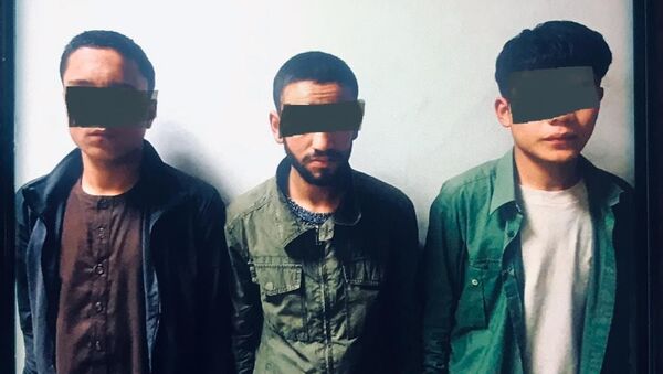 بازداشت یک گروه سه نفری سارقین حرفه‌ای در کابل  - اسپوتنیک افغانستان  
