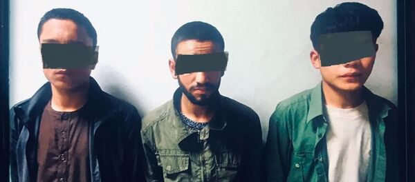 بازداشت یک گروه سه نفری سارقین حرفه‌ای در کابل  - اسپوتنیک افغانستان  