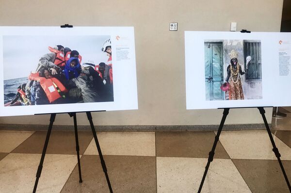 نمایشگاه برندگان پنجمین مسابقه بین‌المللی عکاسی «آندری استنین» - شهر نیویورک، امریکا  - اسپوتنیک افغانستان  