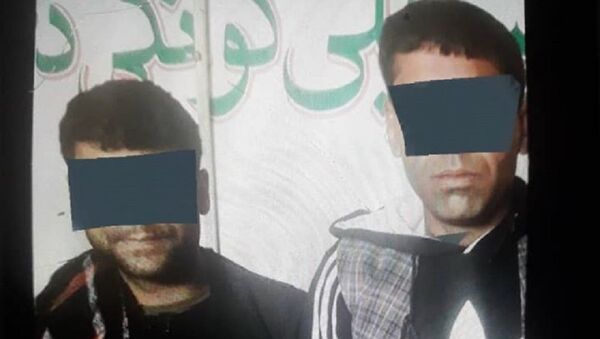 دو سارق حرفه‌ای در شهر کابل بازداشت شدند  - اسپوتنیک افغانستان  