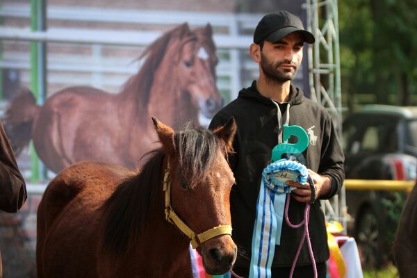 اسب های کاسپین در مسابقه ملی زیبایی اسب های خزر در ایران - اسپوتنیک افغانستان  