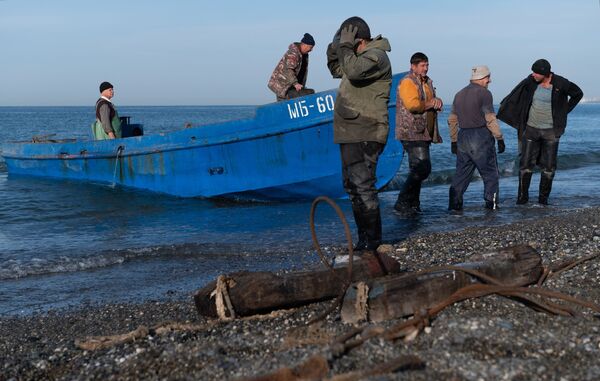 ماهی‌گیران در سوچی روسیه - اسپوتنیک افغانستان  