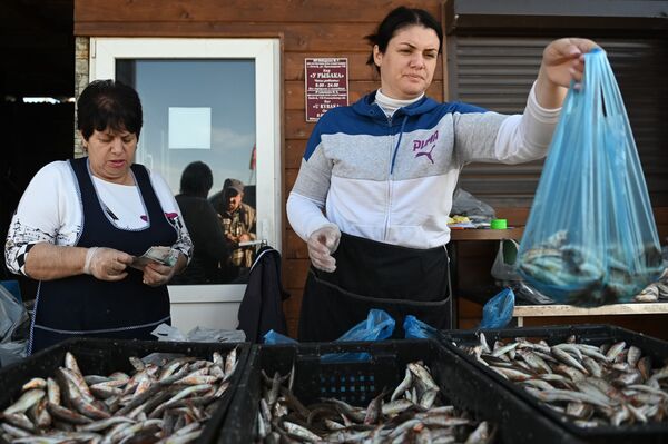 ماهی های صید شده  - اسپوتنیک افغانستان  