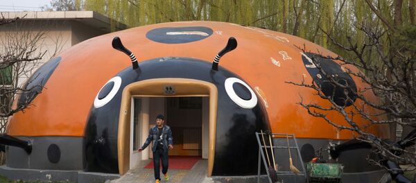 عکس هایی از عجیبترین توالتهای دنیا عکس هایی از عجیبترین توالتهای دنیا - اسپوتنیک افغانستان