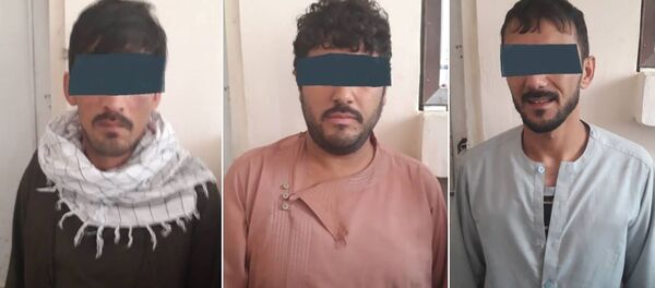 یک شبکه سه نفری از سارقین مسلح در شهر کابل بازداشت شد - اسپوتنیک افغانستان  