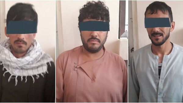 یک شبکه سه نفری از سارقین مسلح در شهر کابل بازداشت شد - اسپوتنیک افغانستان  