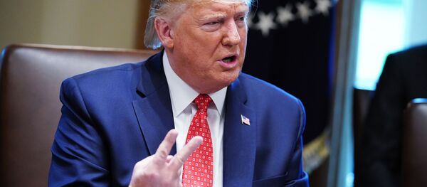 ترامپ دموکرات ها را حزب نفرت نامید ترامپ دموکرات ها را حزب نفرت نامید - اسپوتنیک افغانستان