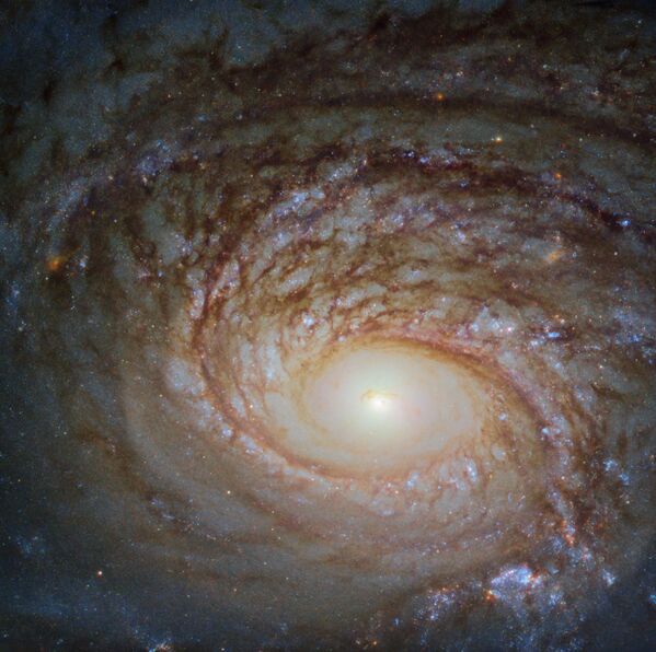کهکشان مارپیچی NGC 772 - اسپوتنیک افغانستان  