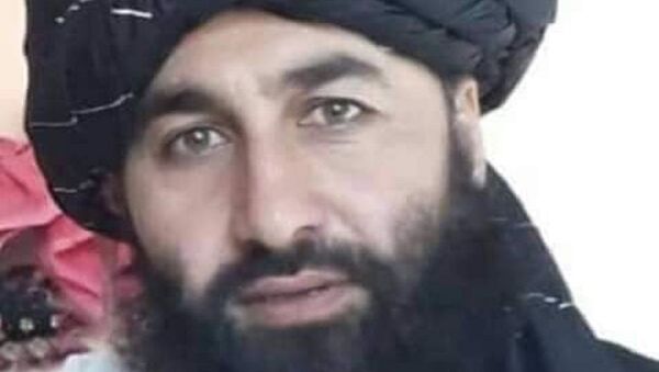 کشته شدن یک فرمانده محلی طالبان در ولایت فراه  - اسپوتنیک افغانستان  