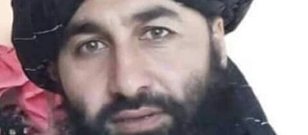 کشته شدن یک فرمانده محلی طالبان در ولایت فراه کشته شدن یک فرمانده محلی طالبان در ولایت فراه - اسپوتنیک افغانستان