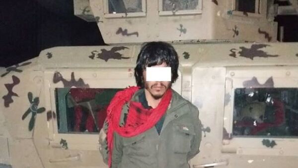 یک عضو کلیدی طالبان در شهر کابل بازداشت شد. - اسپوتنیک افغانستان  