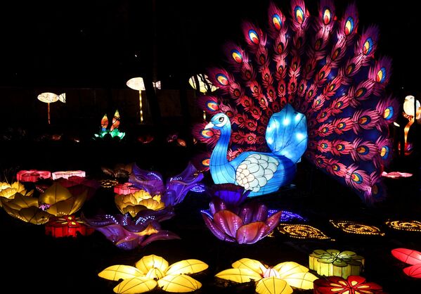 فستیوال چراغ های جادویی چین در مسکو  - اسپوتنیک افغانستان  