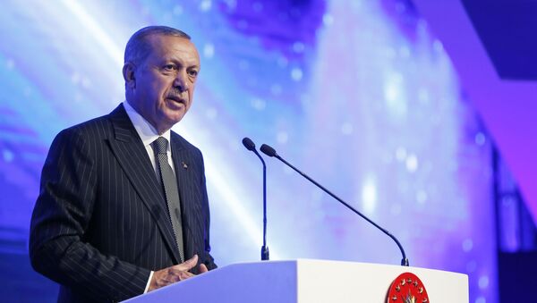 اردوغان: فقط به شرط درخواست مردم سوریه از این کشور خارج می‌شویم - اسپوتنیک افغانستان  