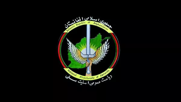 امنیت ملی: رهبر القاعده برای شبه جزیره هند، در هلمند کشته شد