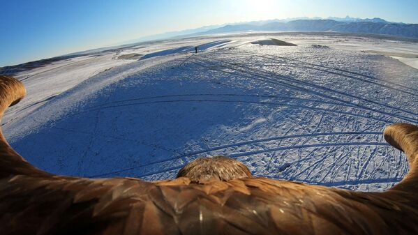 مسابقه شکار با عقاب در قزاقستان - اسپوتنیک افغانستان  