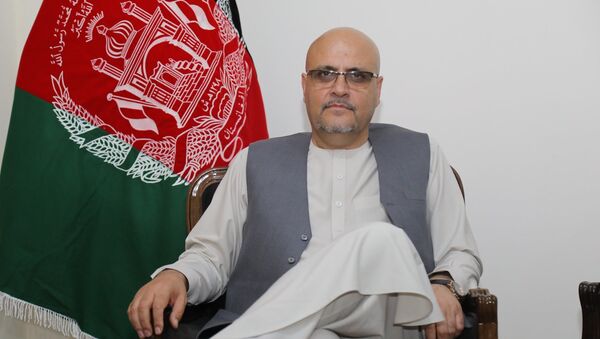 یک سیاست‌گر افغان در سویدن به فساد متهم شد  - اسپوتنیک افغانستان  