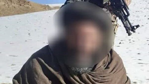 بازداشت مسوول مالی گروه طالبان در ولایت غور  - اسپوتنیک افغانستان  