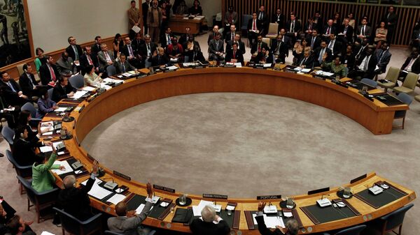 شورای امنیت سازمان ملل متحد  - اسپوتنیک افغانستان  